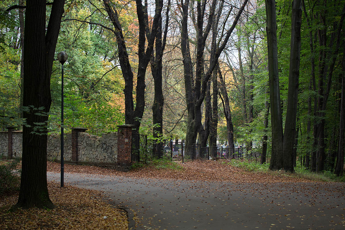 Tarnowskie Gry, Park