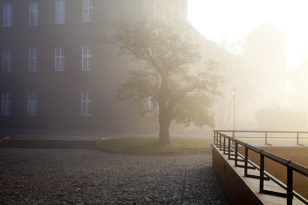 Wawel