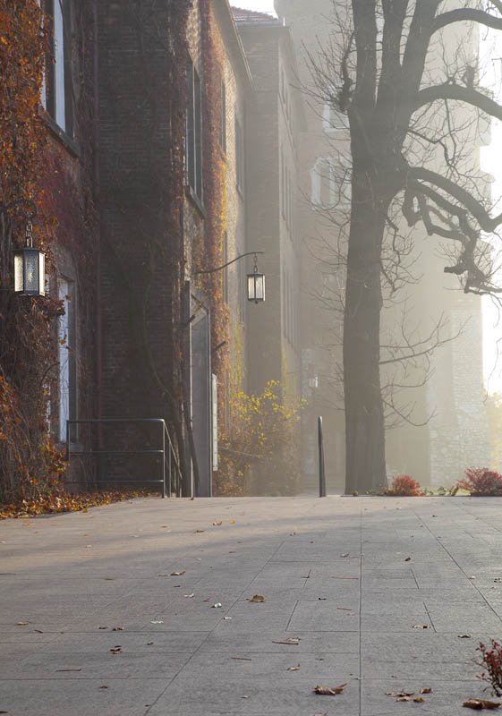 Wawel