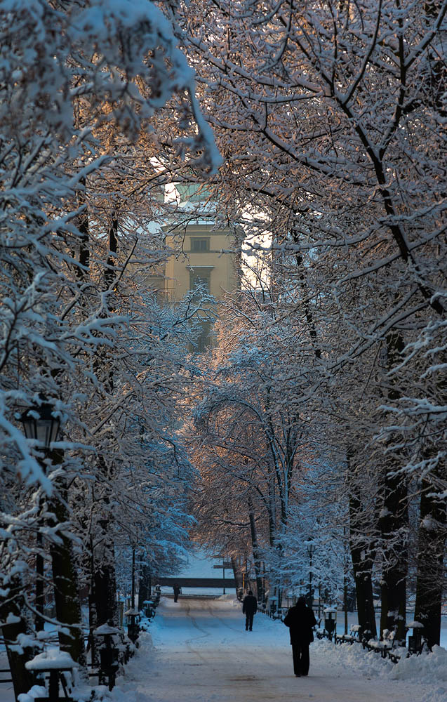 Krak�w, Planty