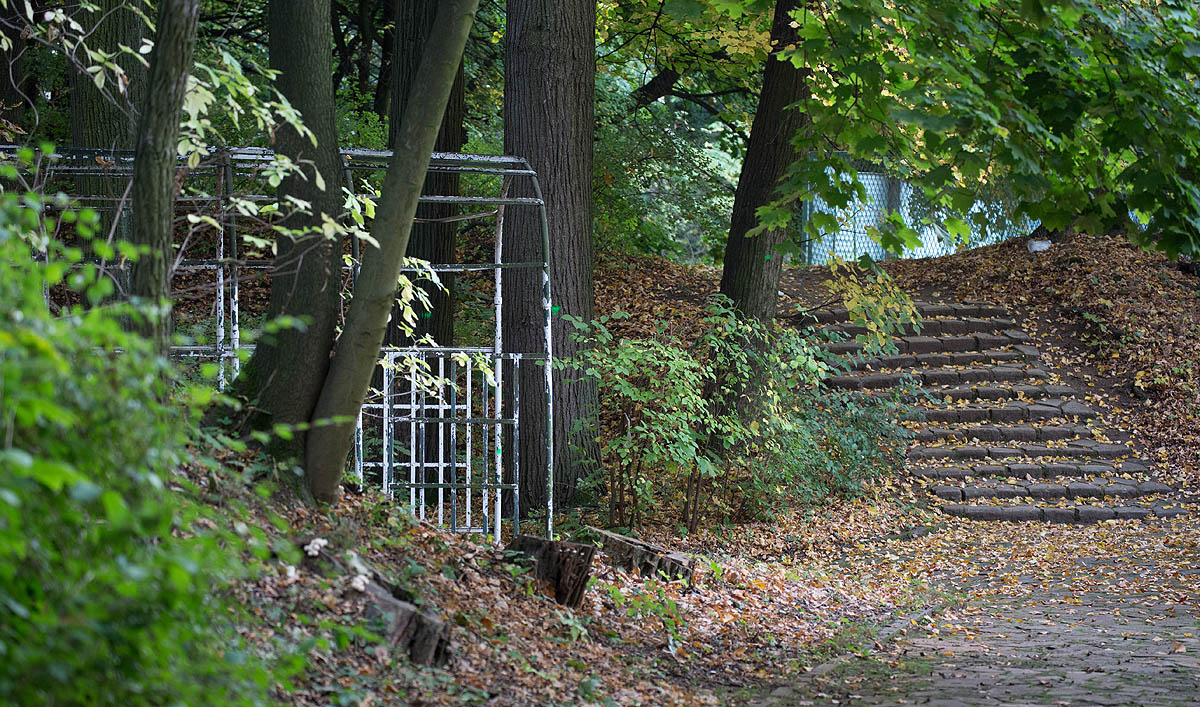 Tarnowskie G�ry, Park