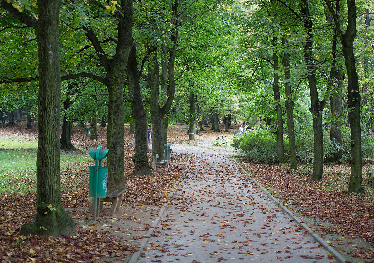 Tarnowskie G�ry, Park