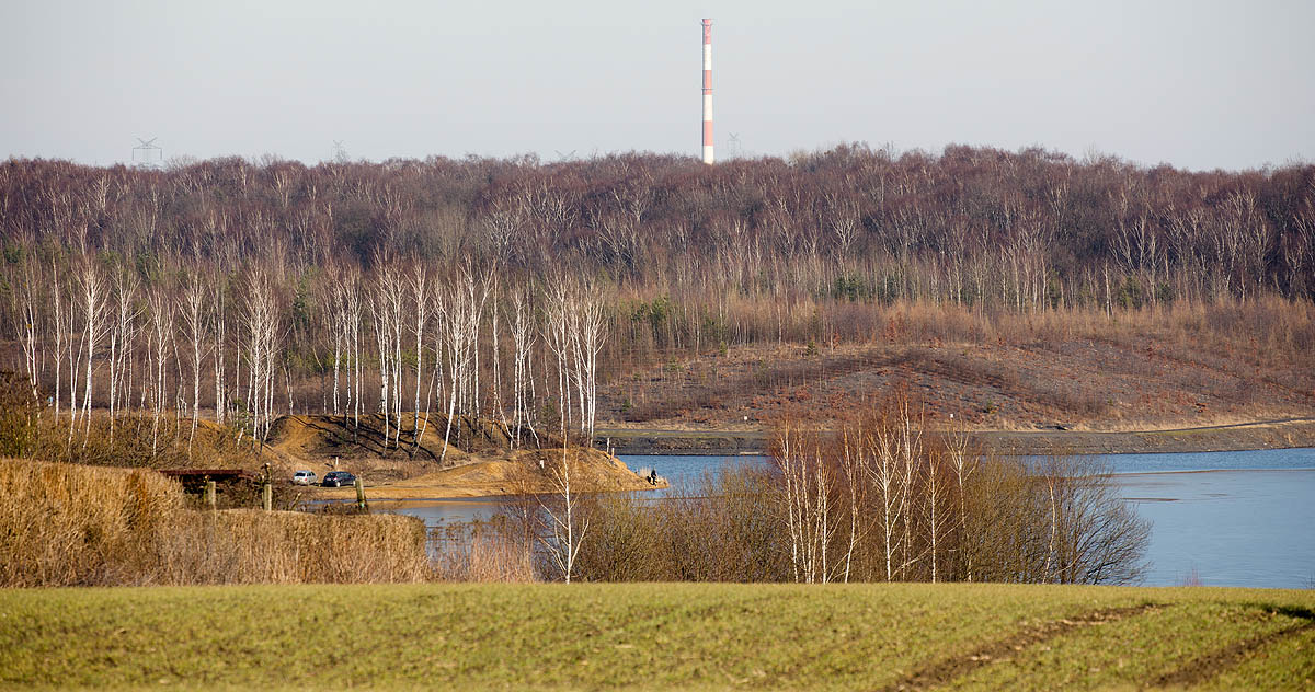 Staw Brandka