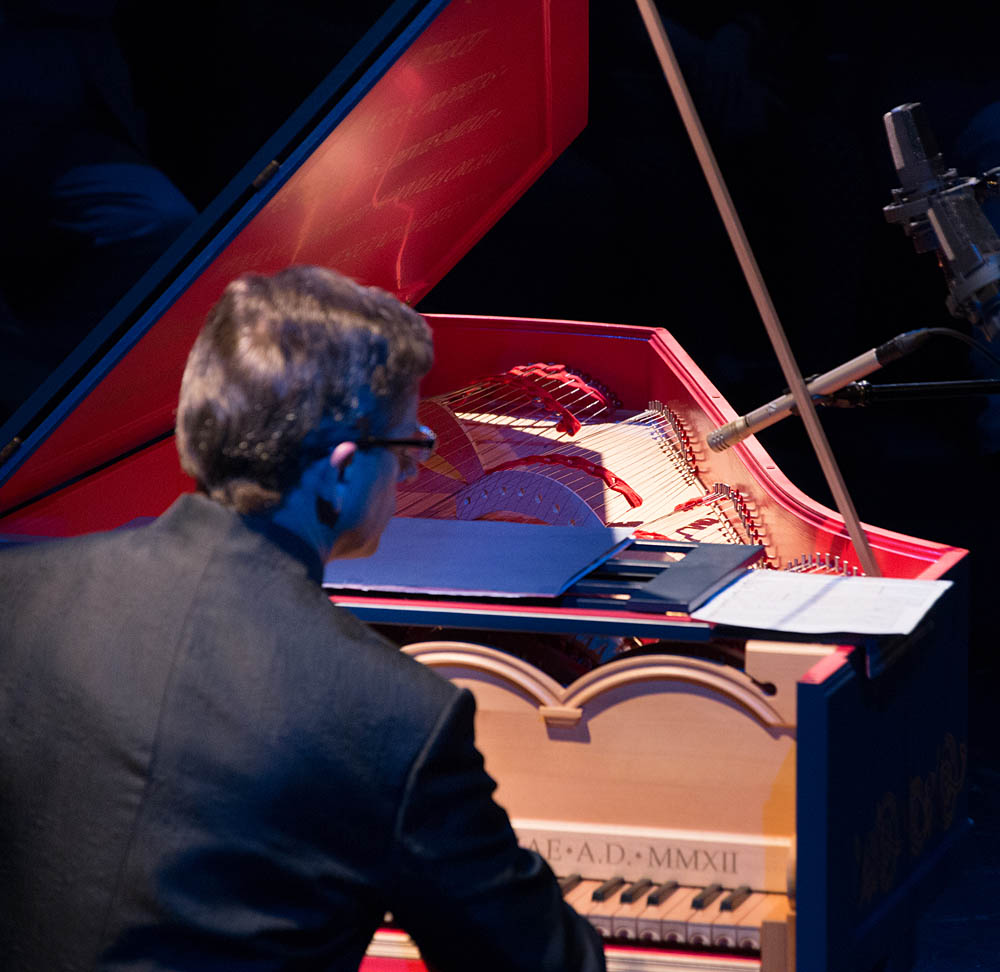 Viola Organista