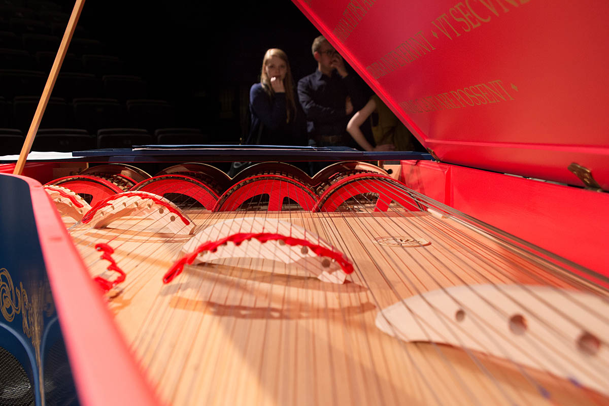 Viola Organista
